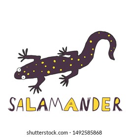 Hand drawn salamander lizard and a word "salamander". Cute wild animal isolated on white. Funny amphibians creature. Fun design for print, shirt, mug. Stock vector illustration.