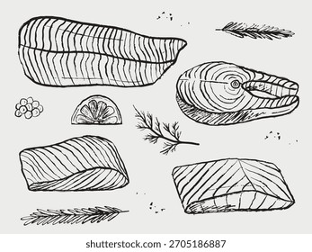Cortes de pescado de salmón dibujados a mano con hierbas, limón, bayas, pimienta. Ilustración de boceto de Vector en estilo vintage de carbón de crayón. Filete de salmón, mariscos, menú del restaurante