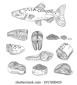 Hand drawn Salmon fish sketch engraving steaks slices. Salmon fish cut parts for cooking recipe. Black and white hand drawn illustration