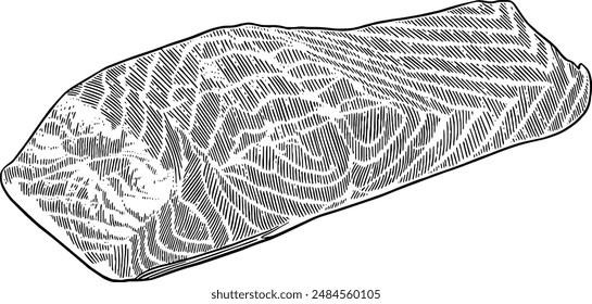 Hand drawn Salmon Steak Sketch Illustration