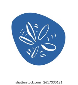 Hand drawn sand dollar illustration in minimal style