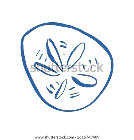 Hand drawn sand dollar illustration in minimal style