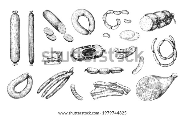 Hand\
drawn sausage. Engraved meat food. Isolated jamon and bacon. Pork\
bologna chorizo or mortadella. Ham and salami slices. Butchery\
products set. Tasty meal. Vector delicious\
snacks
