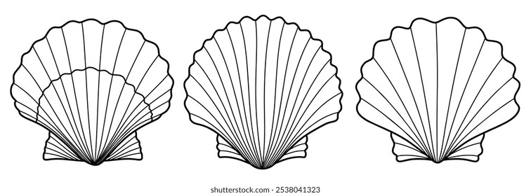 Contorno de vieira desenhado à mão preto. conchas de mar doodle definido com estilo doodle.