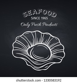 Hand drawn Scallops on chalkboard. Seafood icon menu restaurant design. Engraving style. Vector illustration
