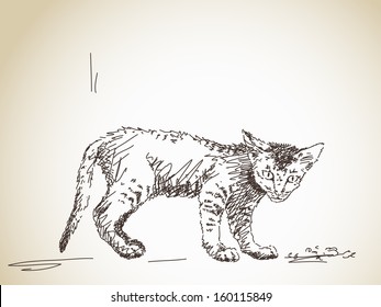 Pequeño gato asustado dibujado a mano