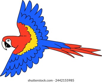 Hand drawn Scarlet macaw, Aracanga Illustration Material
