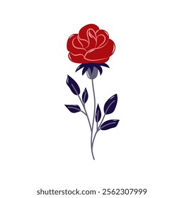 Hand drawn scarlet rose. Valentine's day element for design on white background. Isolated vector illustration.
