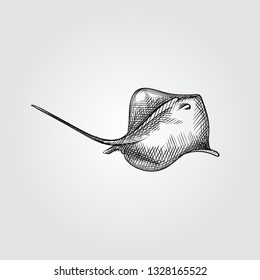 Hand Drawn Scat Sketch Symbol isolated on white background. Vector of Underwater world sea life ocean elements In Trendy Style. Engraving style pen pencil crosshatch.