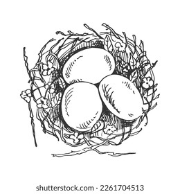 Hand- drawn scetch of Easter decorative nest with eggs. Vector illustration. Black and white vintage drawing. 