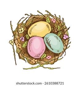 Hand- drawn scetch of Easter decorative nest with eggs. Vector illustration. Black and white vintage drawing. 