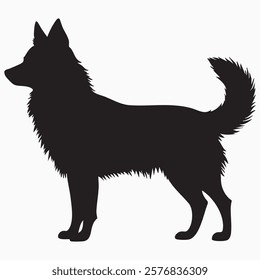 Hand drawn Schipperke dog silhouette