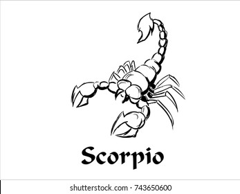 Hand Drawn Scorpio Zodiac Sign in Sketch and line art 