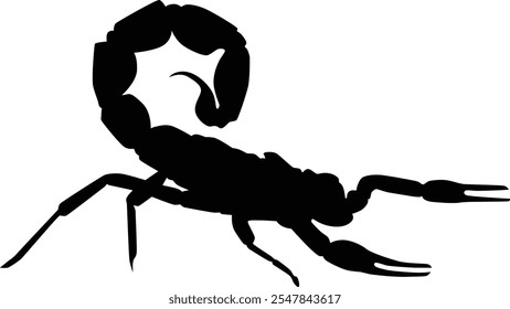 Hand drawn scorpion insect animal silhouette illustration