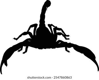 Hand drawn scorpion insect animal silhouette illustration