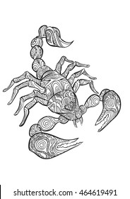 Hand drawn of Scorpion in Zentangle style