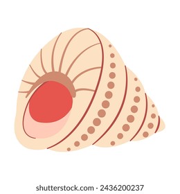 Hand drawn Scotts Top Shell. Cartoon style flat illustration seashell isolated on white background. Vector illustration