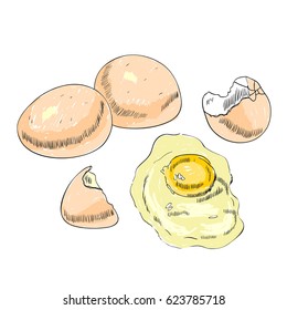 Hand drawn scrambled chicken eggs. Rural bird farming.