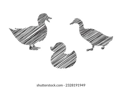 hand drawn scribble duck line style illustration design, duck illustration pencil sketch, three duck hand drawn