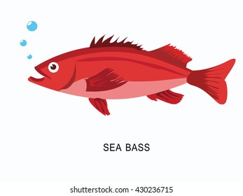 Hand Drawn Sea Bass. The Design Of Fish In A Flat Style. Vector Illustration