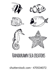 hand drawn sea creators