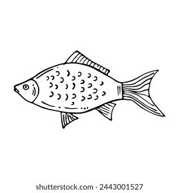 Hand drawn sea creature. Vector outline drawings of one fish.Design simple element.