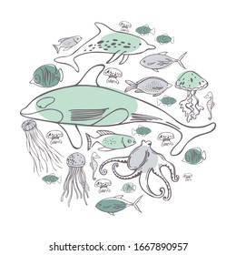 Hand drawn sea fish in a circle. Vector sketch  illustration.