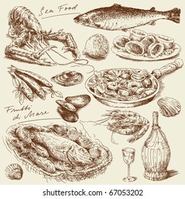 hand drawn sea food