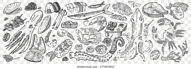 Handgezeichnete Seefutter-Doodle-Set. Kollektion von Bleistiftkreide Zeichnungen von Sushi Hummer Tintenfisch Kaviar Muscheln Tintenfisch und Ozeanfisch auf transparentem Hintergrund. Exotische Meeresschalen, Illustration.