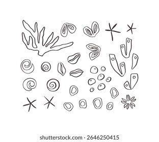 Coleção de vida marinha desenhada à mão. Caprichoso desenho de vetor de doodle subaquático. Conjunto de clipes de recifes submarinos. Planta oceânica, coral, algas, gráfico de estrelas-do-mar. Ilustração aquática mediterrânea.