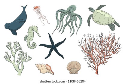 Hand drawn sea life set, vector