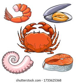 Hand drawn sea meal. Crab and prawn, squid tentacle and fish steak, mussel shellfish delicious seafood sketch color vector illustrations