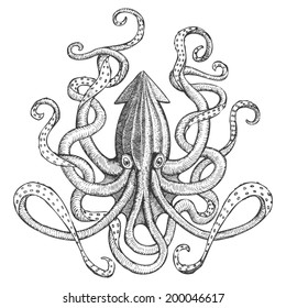 Hand Drawn Sea Monster - Giant Squid