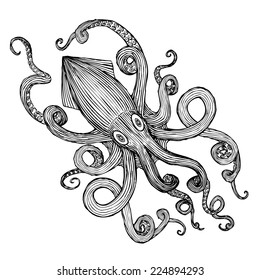 Hand Drawn Sea Monster - Giant Squid