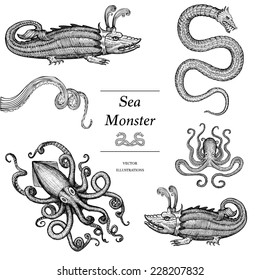 Hand Drawn Sea Monsters 