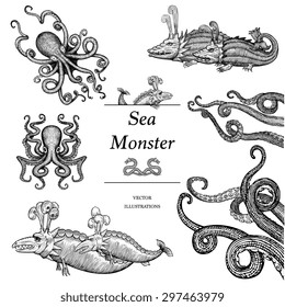 Hand Drawn Sea Monsters in woodcut style (each creature/tentacle is an individual vector and can be separated from groups and rearranged)