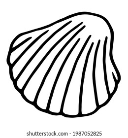 Hand drawn sea scallop in shell. Vector seashell in doodle style isolated on white background. Summer illustration of shellfish for web-design.