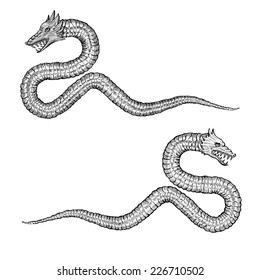 Hand Drawn Sea Serpents - Sea Monsters (fill color is isolated for easy color change)