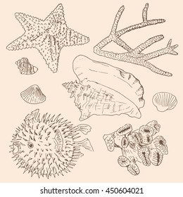 Hand Drawn Sea Set Collection. Sketches Of Pufferfish, Starfish, Shells, Corals. Vector Illustration