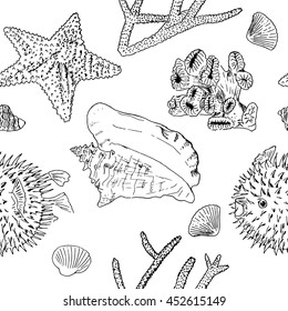 Hand drawn sea set collection. Pattern. Sketches of pufferfish, starfish, shells, corals. Vector illustration