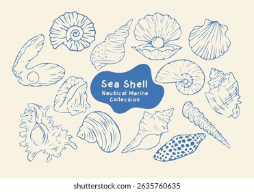 Hand Drawn Sea Shell Collection – Nautical Marine Elements. Ideal for crafting, scrapbooking, greeting cards, textile prints, and digital collages with a coastal theme.