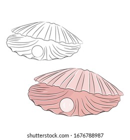 Hand drawn sea shell illustration. Design isolated elements