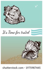 Hand drawn sea shell. Illustration for your design. Vector illustration. Time for travel