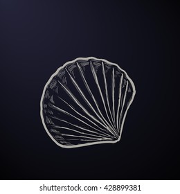 Hand drawn sea shell isolated background. Vintage background with engraving elements at sea. Vector illustration.