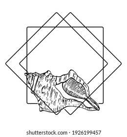 Logo de la concha marina dibujada a mano, marco, borde, elemento promocional. Plantilla de emblema de marca. Monograma minimalista. Marca comercial elegante rústica o fondo de los logotipos. 