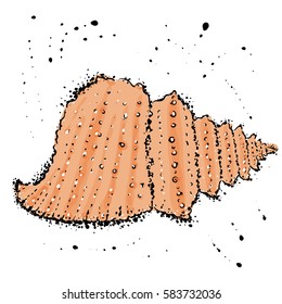 Hand drawn sea shell marine  illustration in watercolor style.
