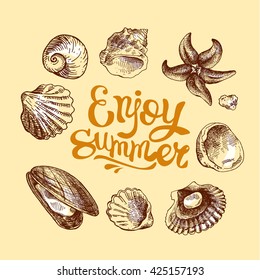 Hand drawn sea shell. Set of vector sketches shells. Shell illustration for your design.