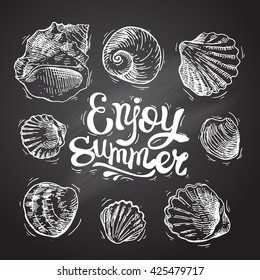 Hand drawn sea shell. Set of vector sketches shells. Shell illustration for your design.