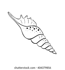Hand drawn sea shell. Shellfish outline. Seashell icon in black isolated on white background.