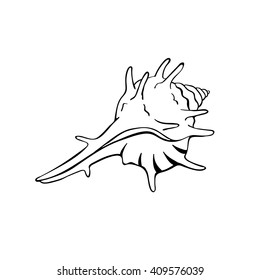 Hand drawn sea shell. Shellfish outline. Seashell icon in black isolated on white background.
